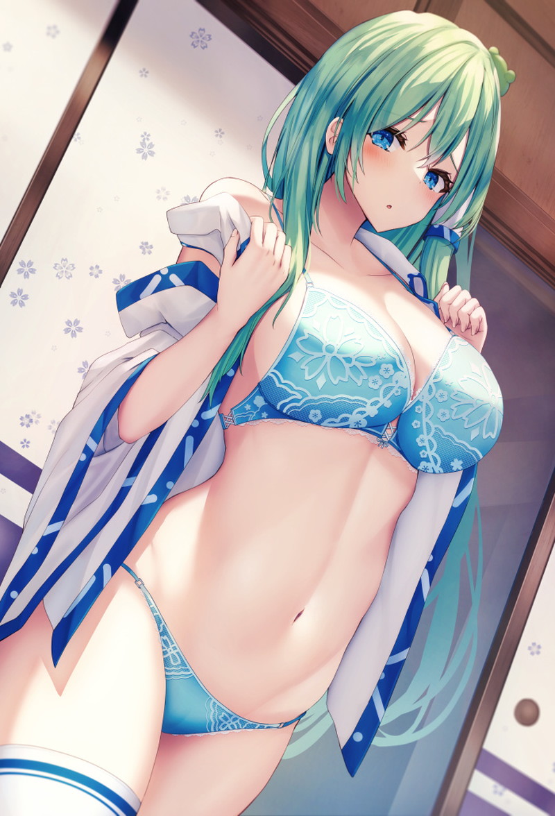 【東方Project】東風谷早苗のエロ画像 Part６